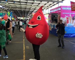 Partnership with Red Cross and MEFF