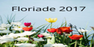 Floriade 2017- A flower display –Good for kids and families
